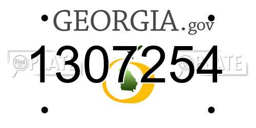 1307254 Georgia License Plate
