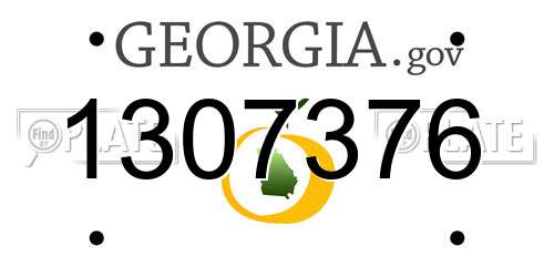 1307376 Georgia License Plate