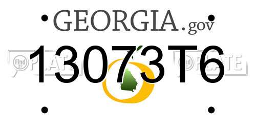 13073T6 Georgia License Plate
