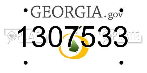 1307533 Georgia License Plate