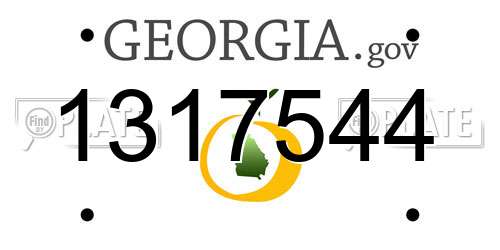 1317544 Georgia License Plate