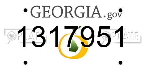 1317951 Georgia License Plate