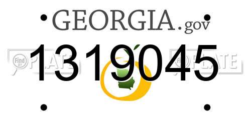 1319045 Georgia License Plate