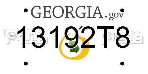 13192T8 Georgia License Plate