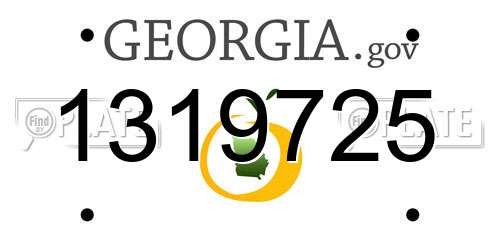 1319725 Georgia License Plate