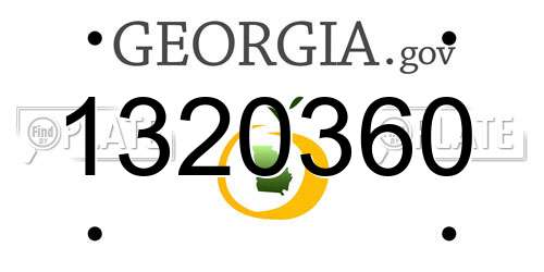 1320360 Georgia License Plate