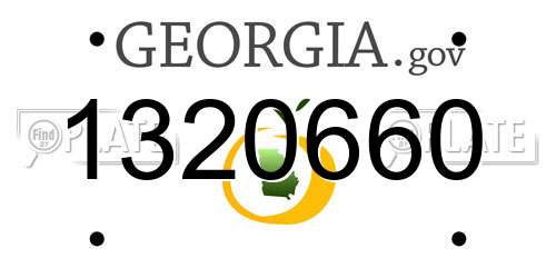 1320660 Georgia License Plate