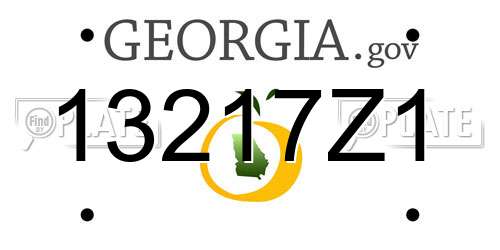 13217Z1 Georgia License Plate