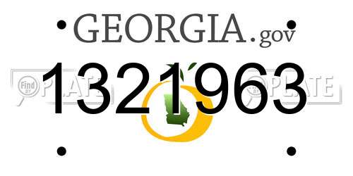 1321963 Georgia License Plate