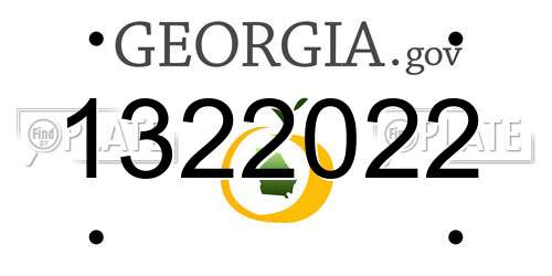 1322022 Georgia License Plate