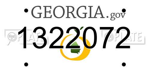 1322072 Georgia License Plate