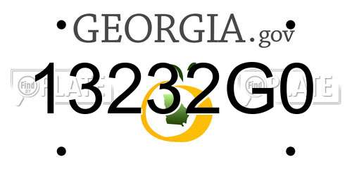 13232G0 Georgia License Plate
