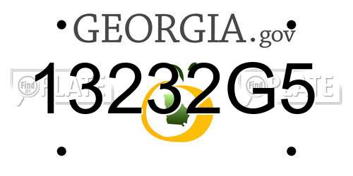 13232G5 Georgia License Plate