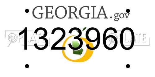 1323960 Georgia License Plate