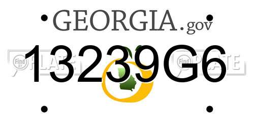 13239G6 Georgia License Plate