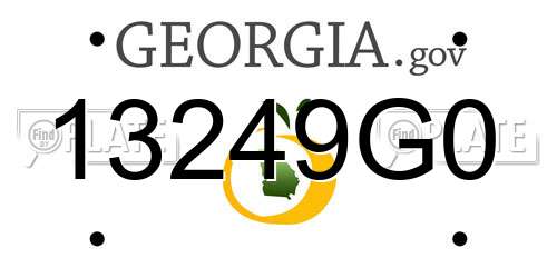 13249G0 Georgia License Plate