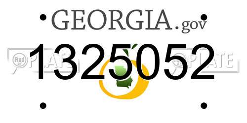 1325052 Georgia License Plate
