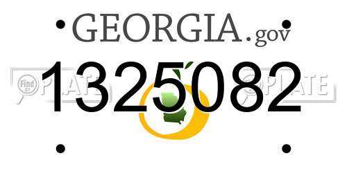 1325082 Georgia License Plate