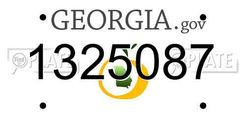 1325087 Georgia License Plate