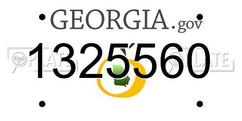 1325560 Georgia License Plate