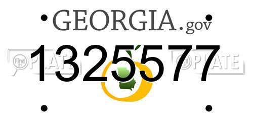 1325577 Georgia License Plate