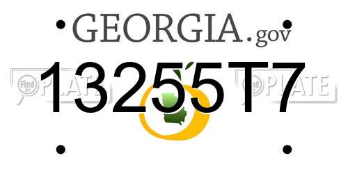 13255T7 Georgia License Plate