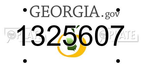 1325607 Georgia License Plate