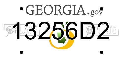 13256D2 Georgia License Plate