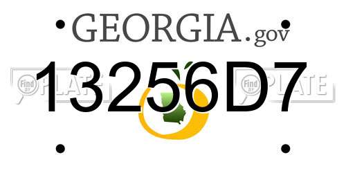 13256D7 Georgia License Plate