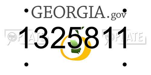 1325811 Georgia License Plate