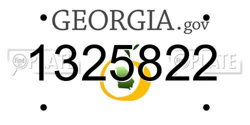 1325822 Georgia License Plate