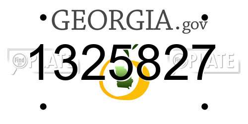 1325827 Georgia License Plate