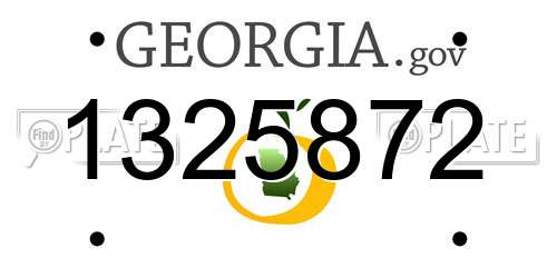 1325872 Georgia License Plate