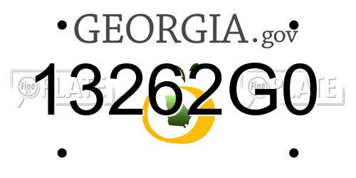 13262G0 Georgia License Plate