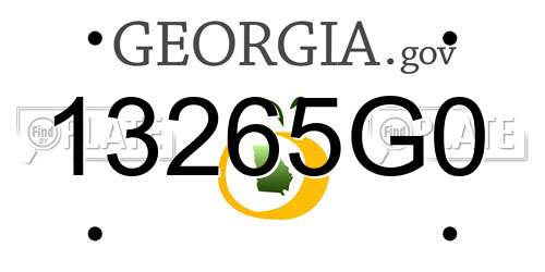 13265G0 Georgia License Plate