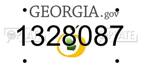 1328087 Georgia License Plate