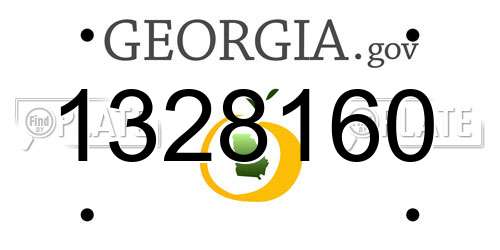 1328160 Georgia License Plate
