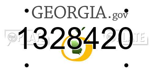 1328420 Georgia License Plate