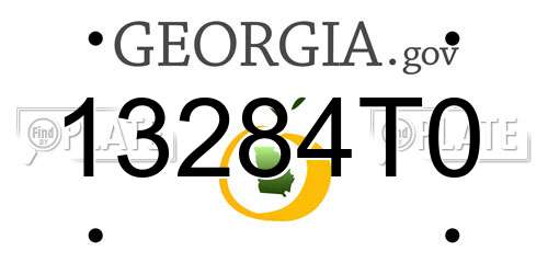 13284T0 Georgia License Plate