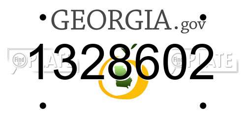 1328602 Georgia License Plate