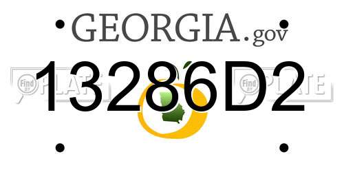 13286D2 Georgia License Plate