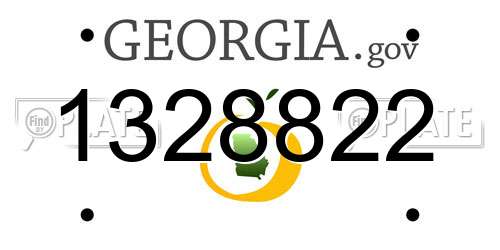 1328822 Georgia License Plate