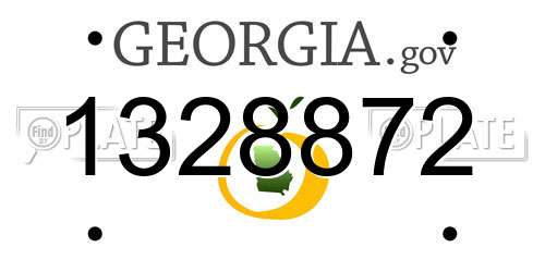 1328872 Georgia License Plate