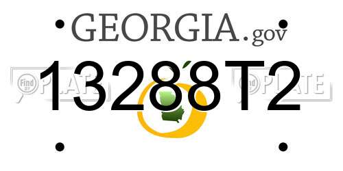 13288T2 Georgia License Plate