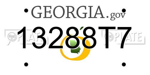 13288T7 Georgia License Plate