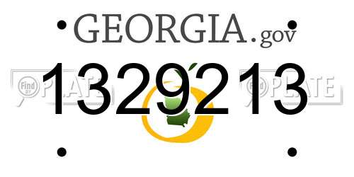 1329213 Georgia License Plate