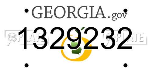 1329232 Georgia License Plate