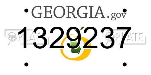 1329237 Georgia License Plate