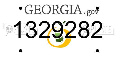 1329282 Georgia License Plate