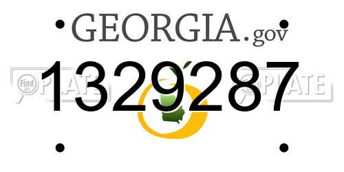 1329287 Georgia License Plate